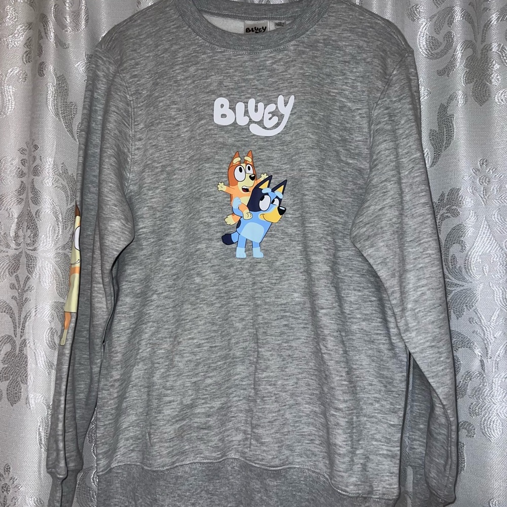 Bluey Women's Grey Graphic Sweatshirt